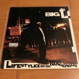 Big L Lifestylez Ov Da Poor & Dangerous LP DITC SHOWBIZ LORD FINESSE BUCKWILD