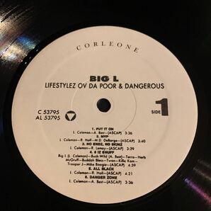 Big L Lifestylez Ov Da Poor & Dangerous LP DITC SHOWBIZ LORD FINESSE BUCKWILDの画像4