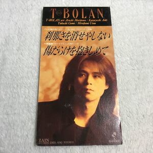 刹那さを消せやしない／T-BOLAN