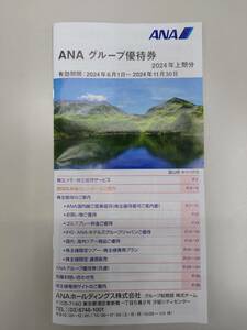 【全日空】ANA株主優待冊子　2024年11月末期限