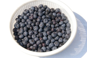  freezing blueberry 1.5kg