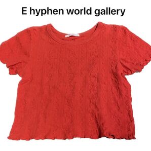 E hyphen 刺繍 総柄 短丈 クロップド 半袖Tシャツ 値下げ中 まとめ売りも可