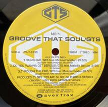 Through The Fire他 Groove That Soul GTS 12inch盤その他にもプロモーション盤 レア盤 人気レコード 多数出品。_画像1