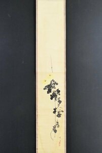 K3485 真作 三宅凰白「菊」紙本 合箱 肉筆 山元春挙師事 花鳥 日本画 中国 絵画 掛軸 掛け軸 古美術 アート 鳳白