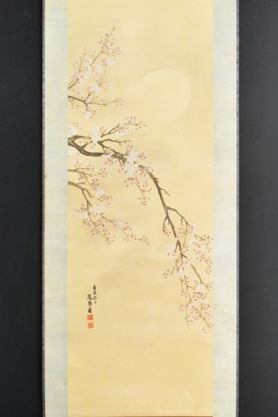 K3381 模写 高嶺｢夜桜｣絹本 月下桜図 茶掛 茶道具 日本画 中国 絵画 掛軸 掛け軸 古美術 人が書いたもの, 絵画, 日本画, 花鳥, 鳥獣