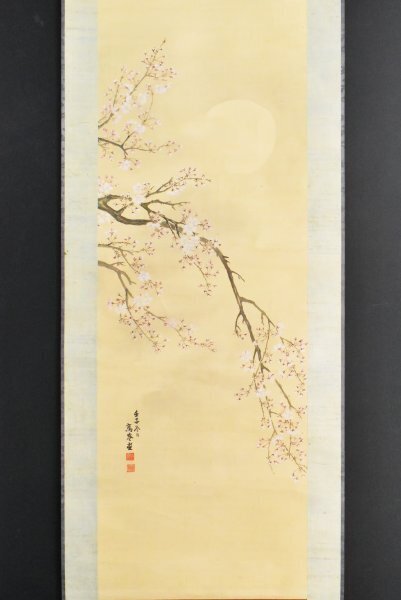 K3381 高峰夜樱复制品 绢画 月下樱花 茶挂 茶道用具 日本画 中国画 挂轴 古画 手绘, 绘画, 日本画, 花鸟, 野生动物