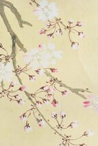 K3381 模写 高嶺「夜桜」絹本 月下桜図 茶掛 茶道具 日本画 中国 絵画 掛軸 掛け軸 古美術 人が書いたもの_画像9