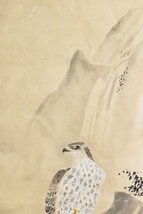 K3580 模写 無銘無落款「鷹」紙本 花鳥 日本画 中国 古画 絵画 掛軸 掛け軸 古美術 アート 人が書いたもの_画像3