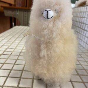 アルパカ　ぬいぐるみ　エクアドル　民芸品