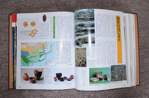 週刊日本の歴史と専用バインダーのセット_画像6