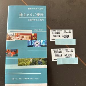 西武ホールディングス株主優待　優待冊子乗車券2枚　11月30日まで　送料無料