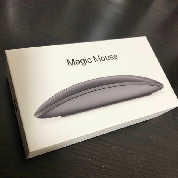 Apple Magic Mouse 2 Space Grey スペースグレー