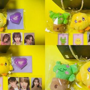 IU 15周年 ペンコン 公式 ピッピ ダユギ トレカ ぬいぐるみセット 選択