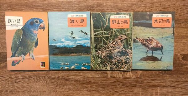 保育社 カラーブックスシリーズ 鳥4選