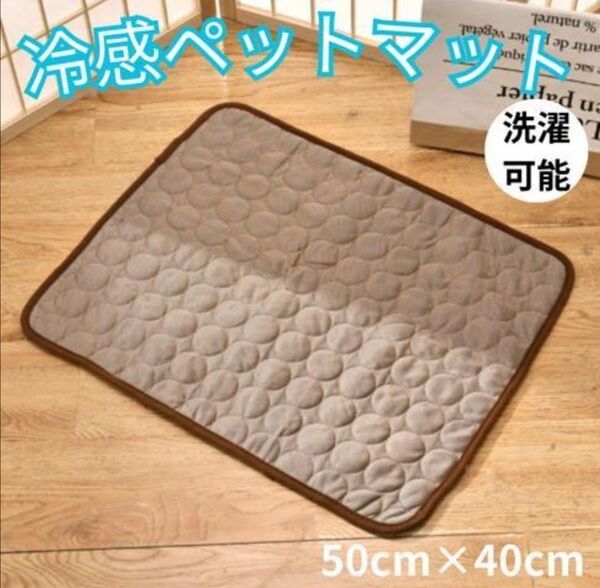 ペットシーツ 犬猫 接触冷感 50×40cm マットレス 小 洗濯可 茶色
