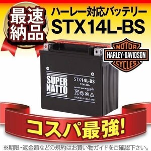 液入済) ◆同梱可能！安心の高品質！ ハーレー XL883 (2004～) 対応バッテリー 信頼のスーパーナット製 STX14L-BS 【65958-04B互換】