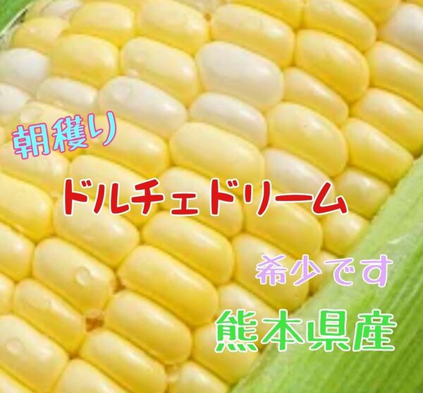 【限定価格】とうもろこし(ドルチェドリーム)　4kg　熊本県産