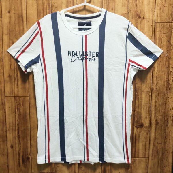 ホリスター Hollister 半袖 Tシャツ 白 ホワイト 刺繍 ロゴ