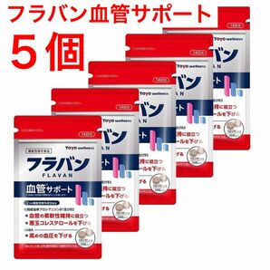 ☆新品未開封☆東洋ウェルネスフラバン血管サポート　サプリメント60粒×5袋セット