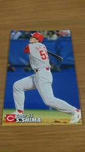 2004 Calbee Professional Baseball card Professional Baseball chip s. -ply . Hiroshima 