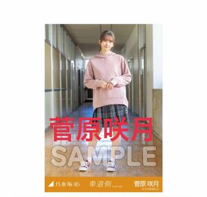 乃木坂46 菅原咲月 車道側 5枚 コンプ 生写真　検)コンプリート 個別 web限定 5期生 アンダー 楽曲衣装　MV