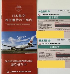 JAL 株主優待券2枚 2023年12月1日から2025年5月31日 株主優待冊子　クーポンセット