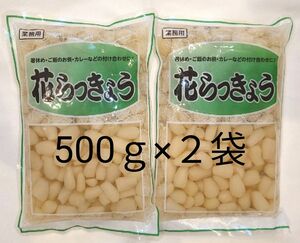 花らっきょう らっきょう甘酢漬け 500g×2袋 食品