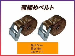 荷締めベルト 固定ベルト 多用途 梱包 固定バンド 荷造りベルト 地震対策グッズ ブラウン 幅2.5cm*5m 2本セット