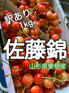 山形県産さくらんぼ　佐藤錦　訳あり1キロ