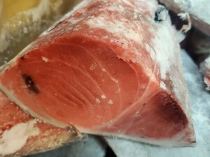  bluefin tuna tail 3 kilo set. fat equipped 