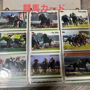 競馬カード 1999年 2000年 武豊 ジョッキー コレクション レア ラジオたんぱ バンダイ