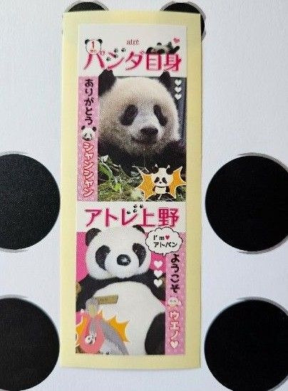 ラスト シャンシャン 上野動物園