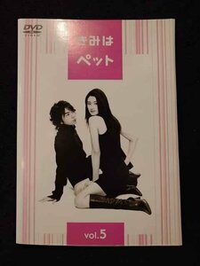 xs967 レンタルUP◎DVD きみはペット (小雪・松本潤 主演) 全5巻 ※ケース無