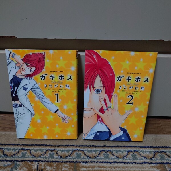 ガキホス 1巻・2巻セット きたがわ翔 協力:緋咲ロミオ 取材協力:欅みずき 少年画報社 ヤングキングコミックス