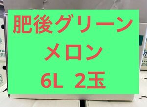 大玉　肥後グリーンメロン　6L2玉