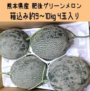 【送料無料◎1スタ!】熊本県産 肥後グリーンメロン 箱込み約9~10kg 4玉入り