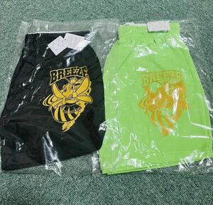 [ not for sale ] Hachioji practice high school cheerleading part official Cheer punch a Cheer Dance uniform Cheery da-