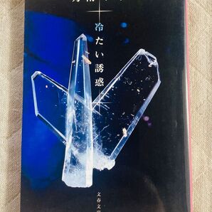 冷たい誘惑 (文春文庫) 乃南アサ/著