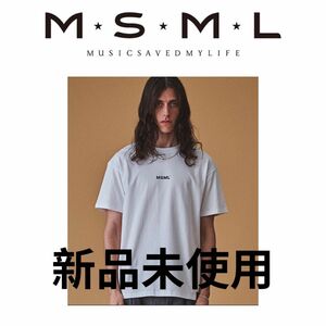 MSML ロゴTシャツ　crimie RADIALL calee