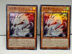 遊戯王 天盃龍パイドラ スーパーレア LEDE-JP016 2枚セット