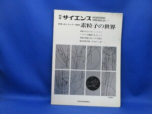 即決　レア　別冊サイエンス　特集　高エネルギー物理　素粒子の世界 92615