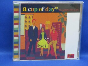 RAMJET PULLEY『a cup of day』CD　1st アルバム　DIMENSION 帯付き 　 93006