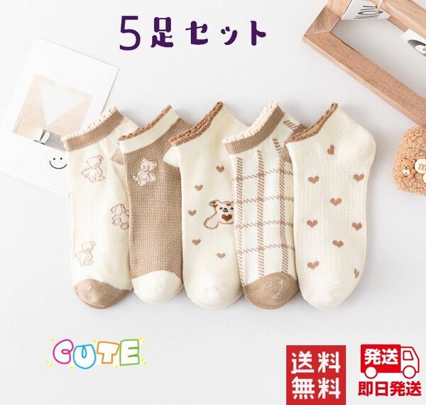新品 くまさんソックス 5足セット レディース 可愛い 人気 くまさん 靴下 プレゼント トレンド