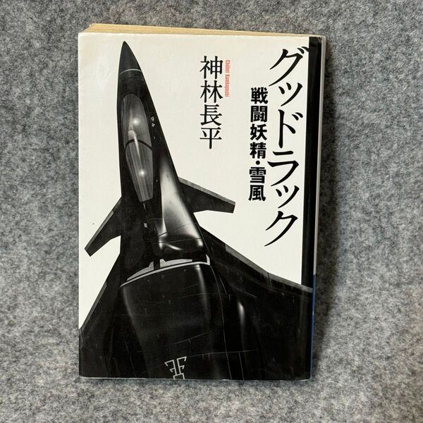 【文庫本】グッドラック (ハヤカワ文庫 JA 683 戦闘妖精・雪風) 神林長平/著