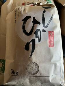  новый рис . мир 5 год производство Yamagata префектура производство Koshihikari белый рис 5 kilo 