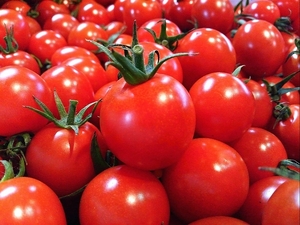 (^^!... taste. ..! beautiful taste .. Kumamoto production ~ mini tomatoes ~ approximately 3kg preeminence goods 