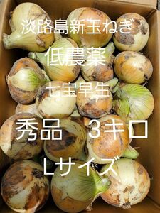 淡路島新玉ねぎ(七宝早生3キロLサイズ)低農薬 農家直送