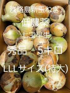 淡路島新玉ねぎ(七宝早生5キロLLLサイズ)低農薬 農家直送