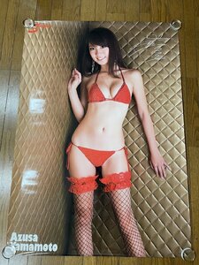 **P514/B0 штамп постер / Yamamoto .asa. Secret красный бикини сеть трико / шнур хлеб / купальный костюм / gravure модель /1 иен ~