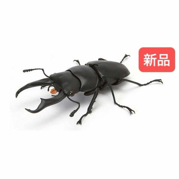 【新品】　コクワガタ　いきもの大図鑑くわがた04 バンダイ　生き物　昆虫　フィギュア　ガチャ